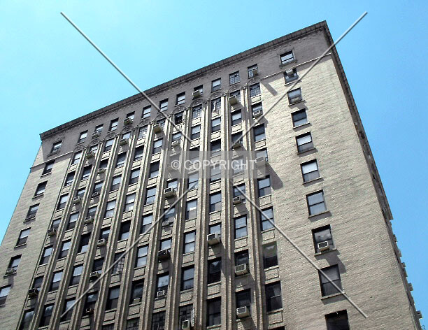 View from the east