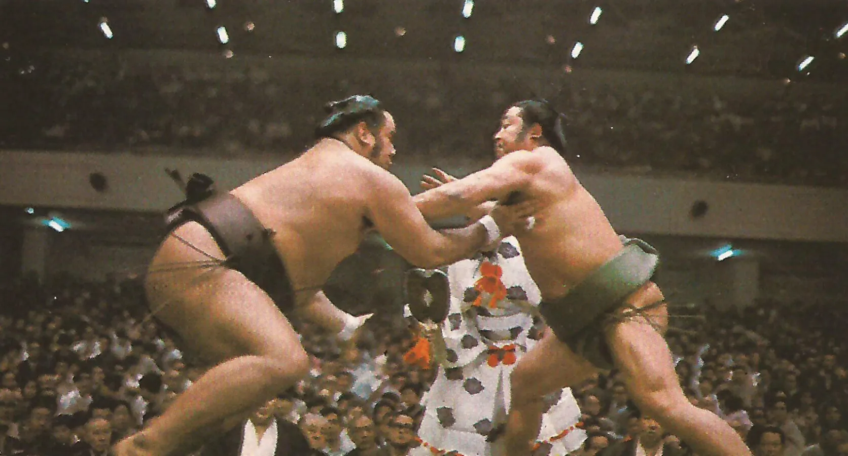 Sumo wrestlers