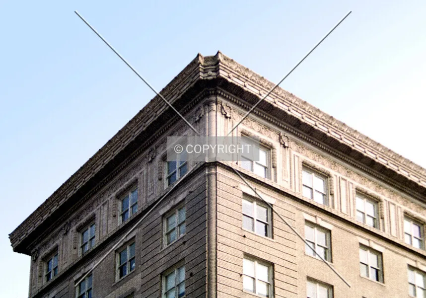 Photo 203-753-331