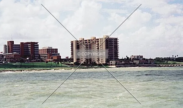 Photo 203-801-593