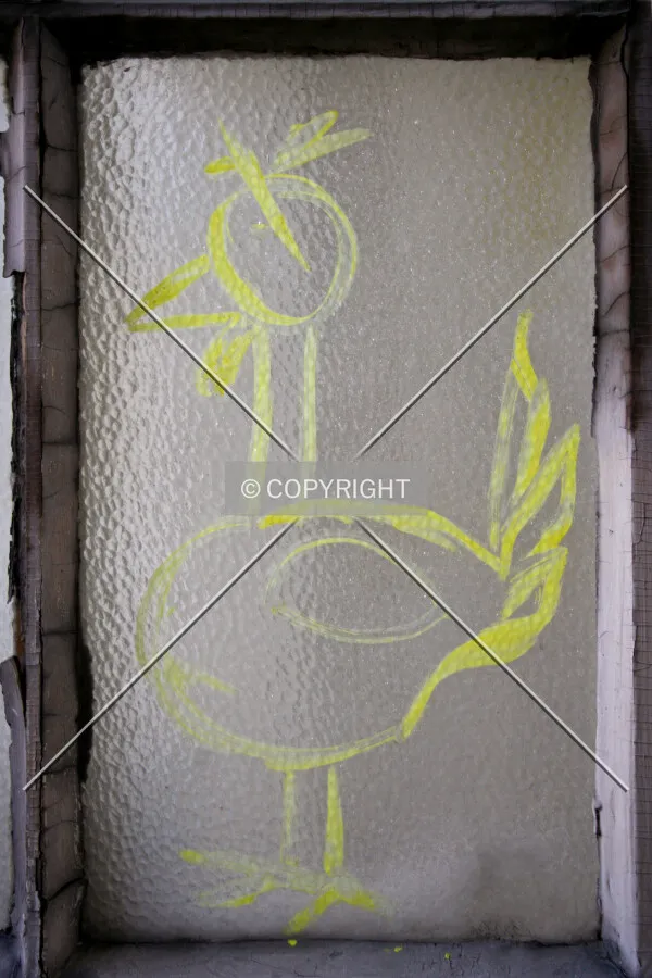 Chicken graffiti on one of the north-facing window panes