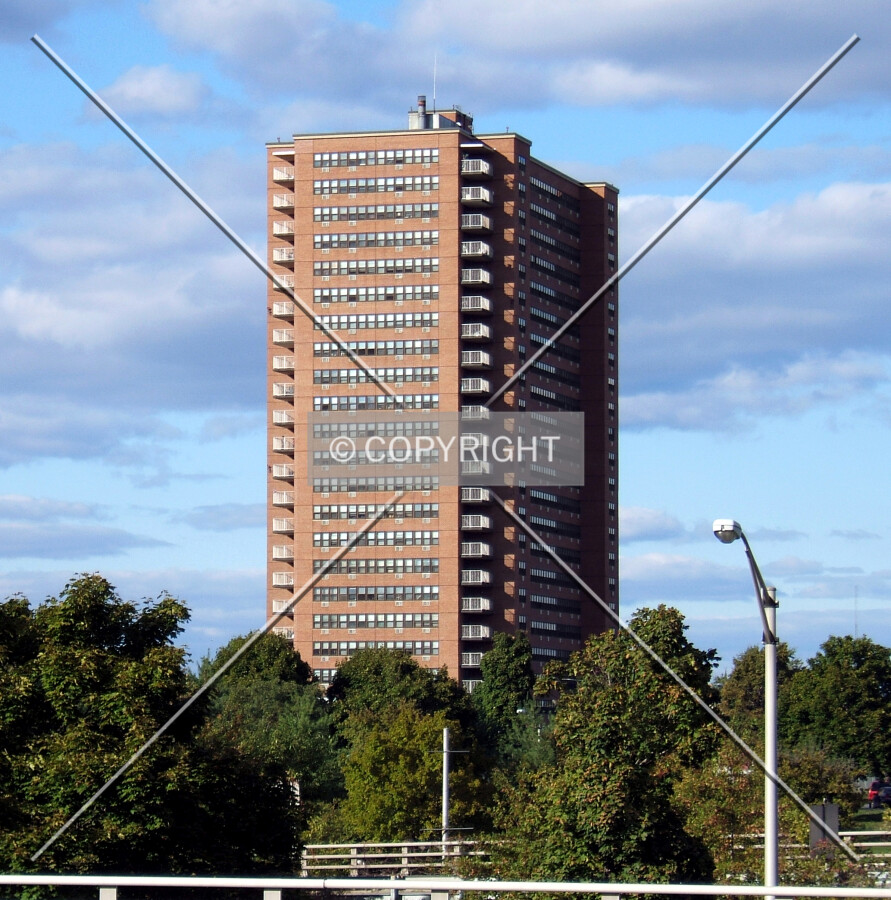 View from the south