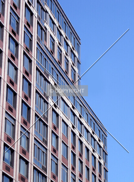 Photo 204-597-330