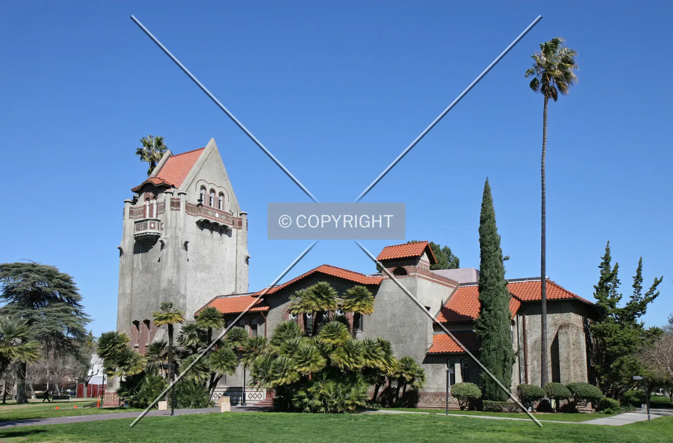Following completion of interior renovations and removal of the exterior climbing ivy and fig vines