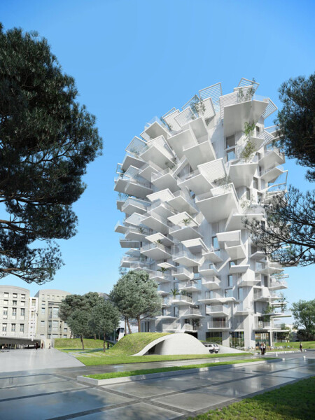 L'Arbre Blanc