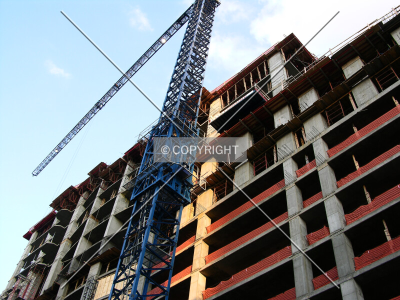 Photo 205-547-372