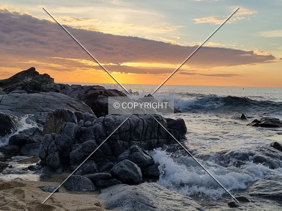 Photo 205-738-926
