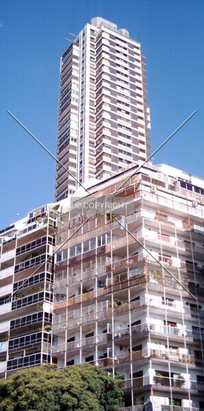 Photo 206-119-248
