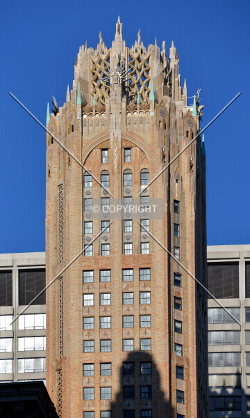 Photo 206-238-760