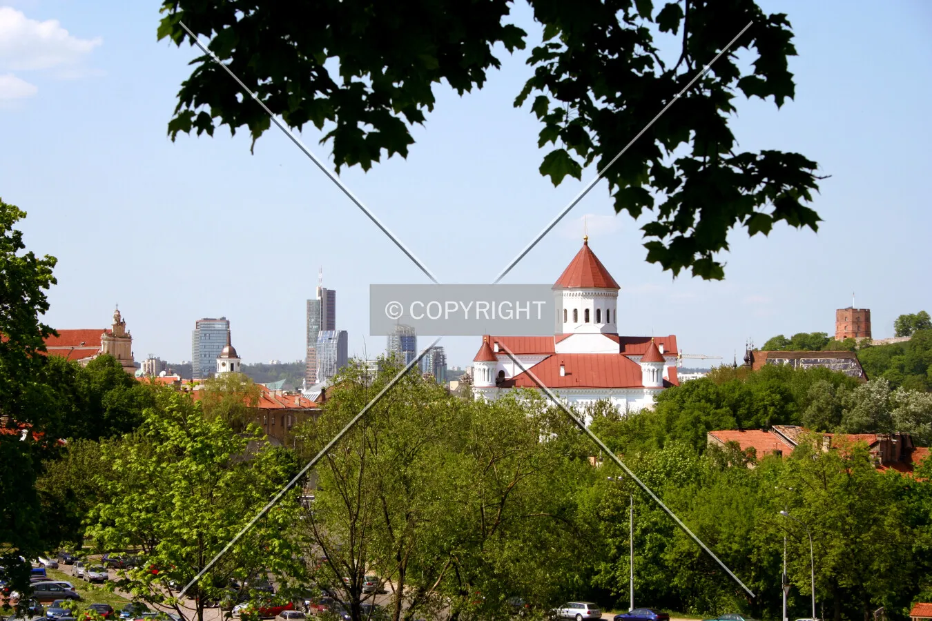 Looking north towards the skyline