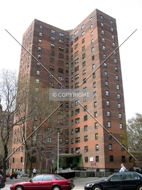 Photo 206-384-635