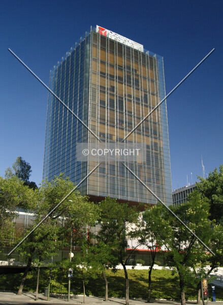 Photo 207-065-536