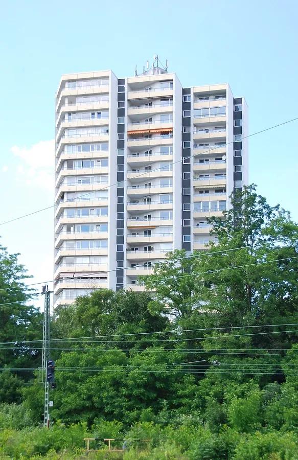 Tower rising behind the trees