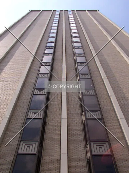 Photo 207-406-259