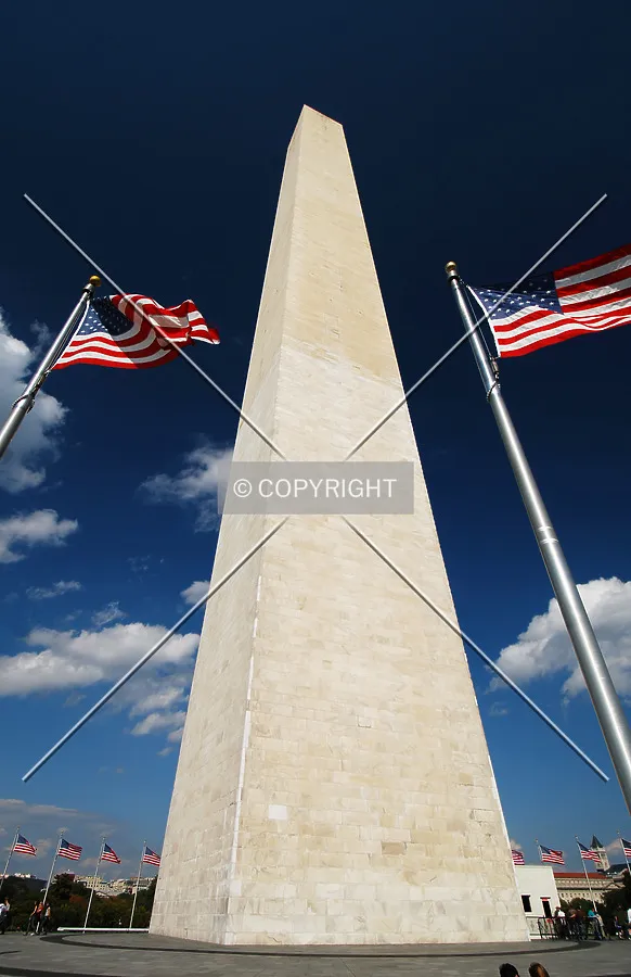 Photo 207-558-266