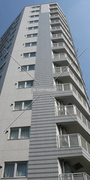 Photo 207-646-049