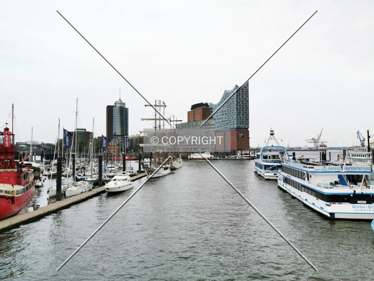 Photo 207-795-018