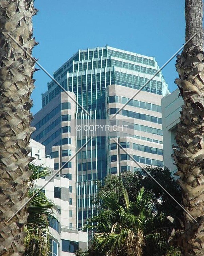 Palm-framed tower on a warm December day