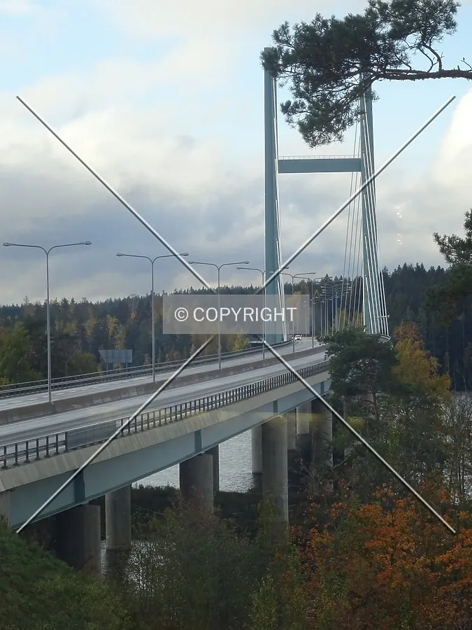 Photo 207-922-106