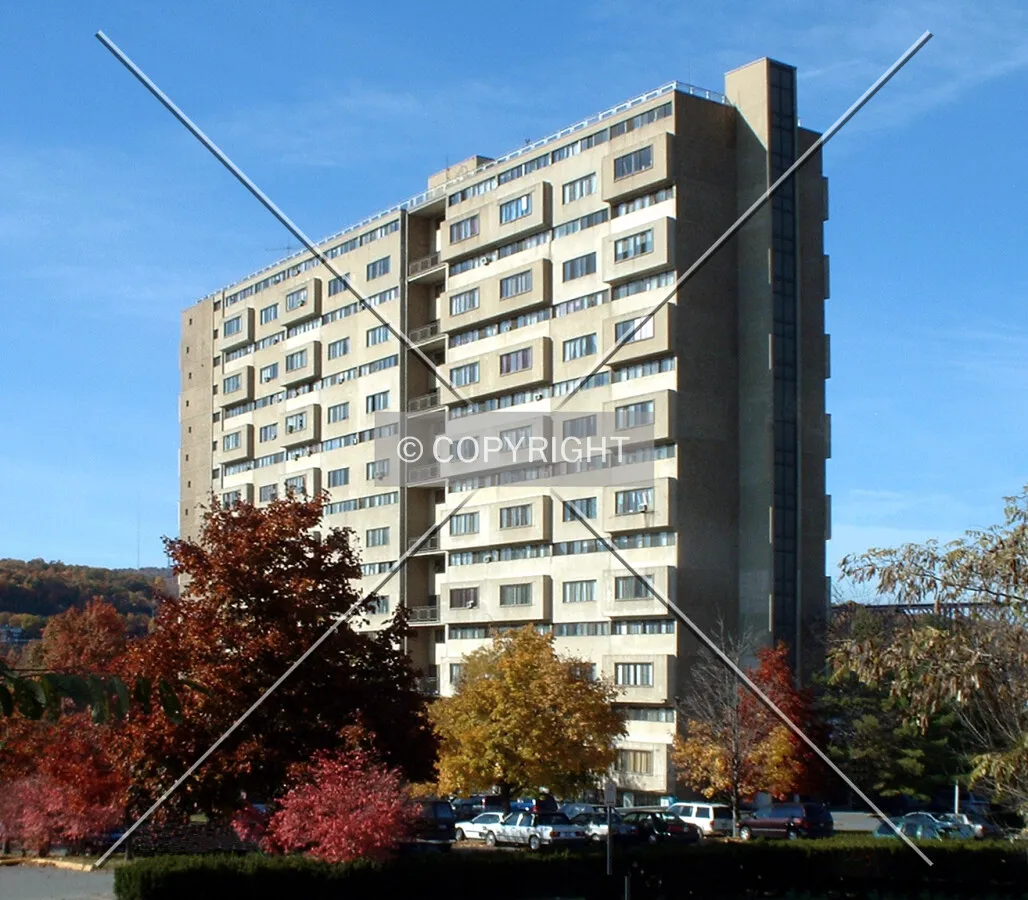 View from the southeast