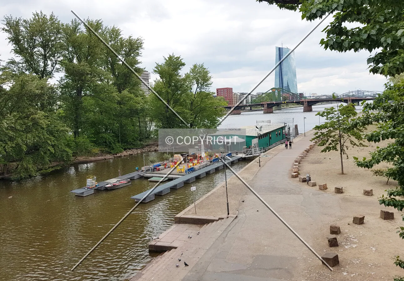 Photo 209-223-291