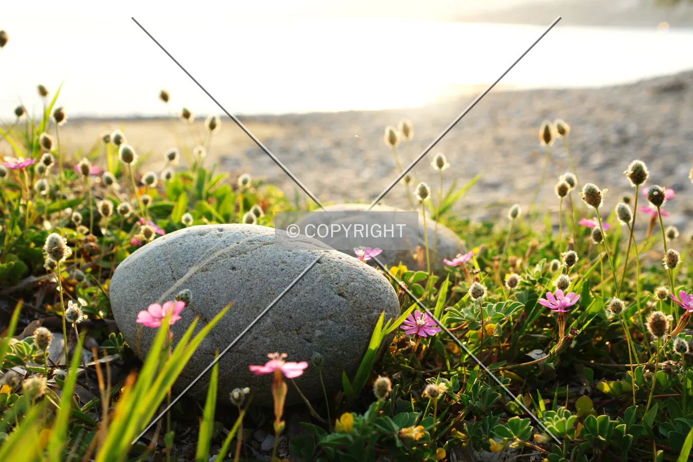 Nice looking stone between flowers