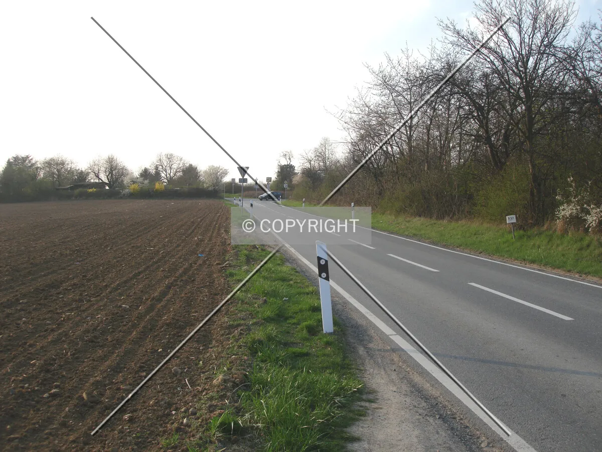 Photo 210-274-388