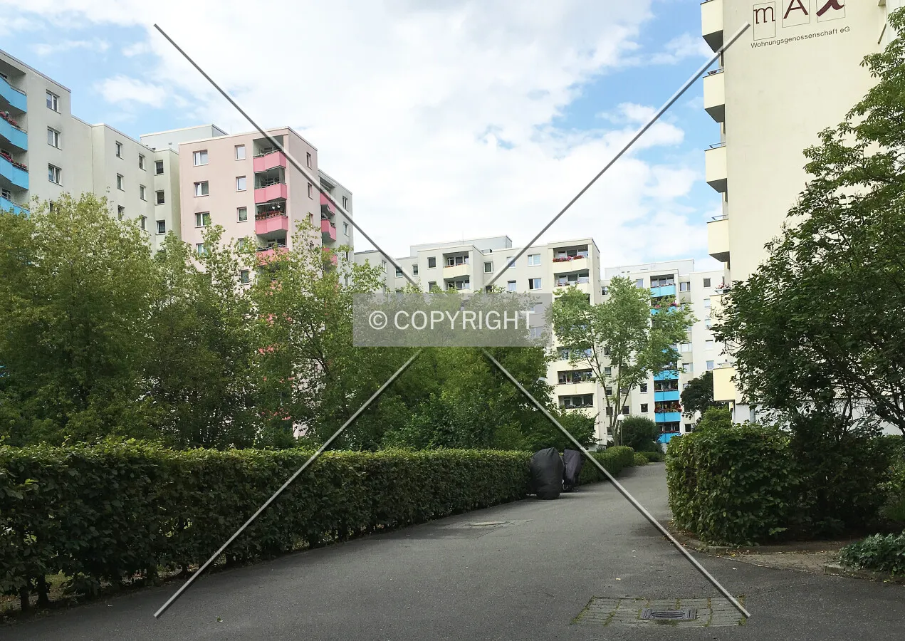 Photo 210-299-728