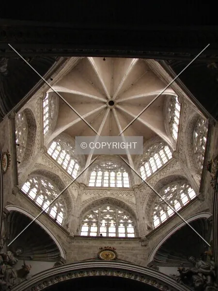 Photo 210-445-950