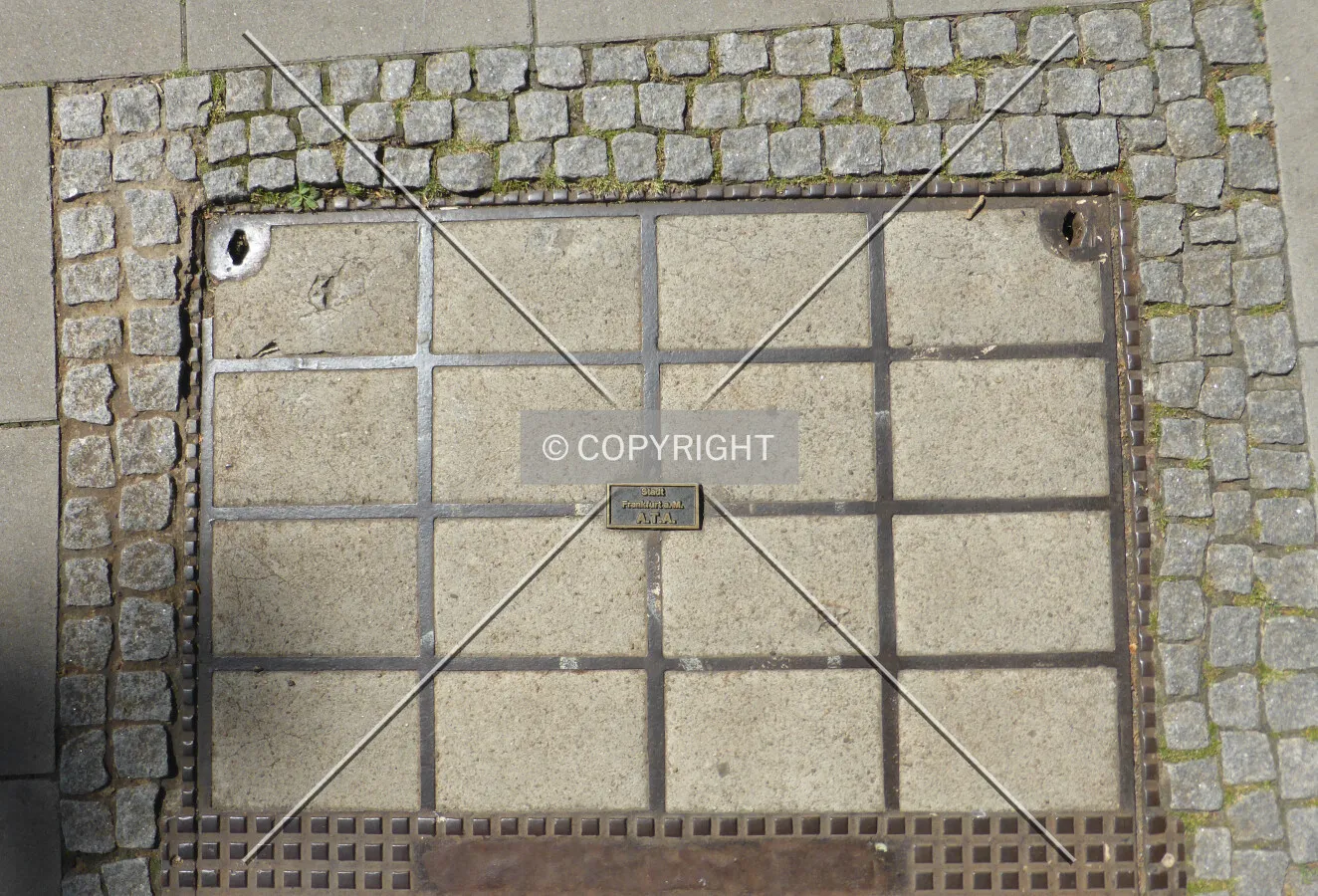 Photo 211-211-441