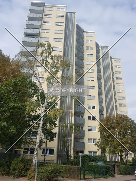 Photo 211-255-207