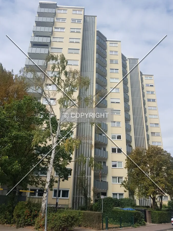 Photo 211-255-207