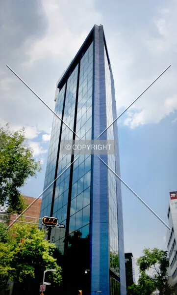 Photo 211-324-847