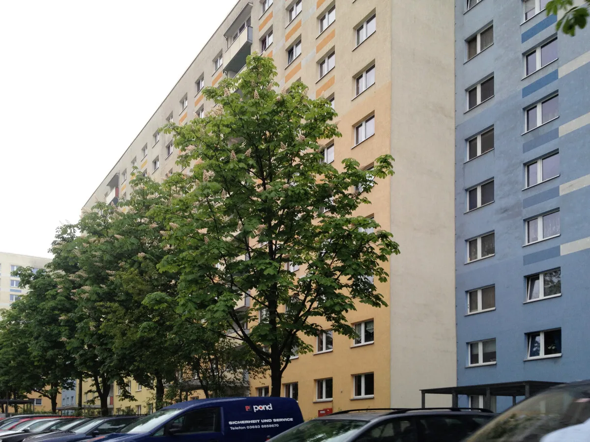 Photo 212-201-035