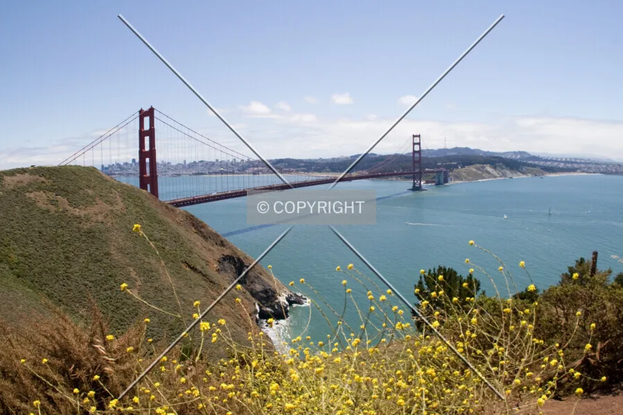 Photo 021-223-901