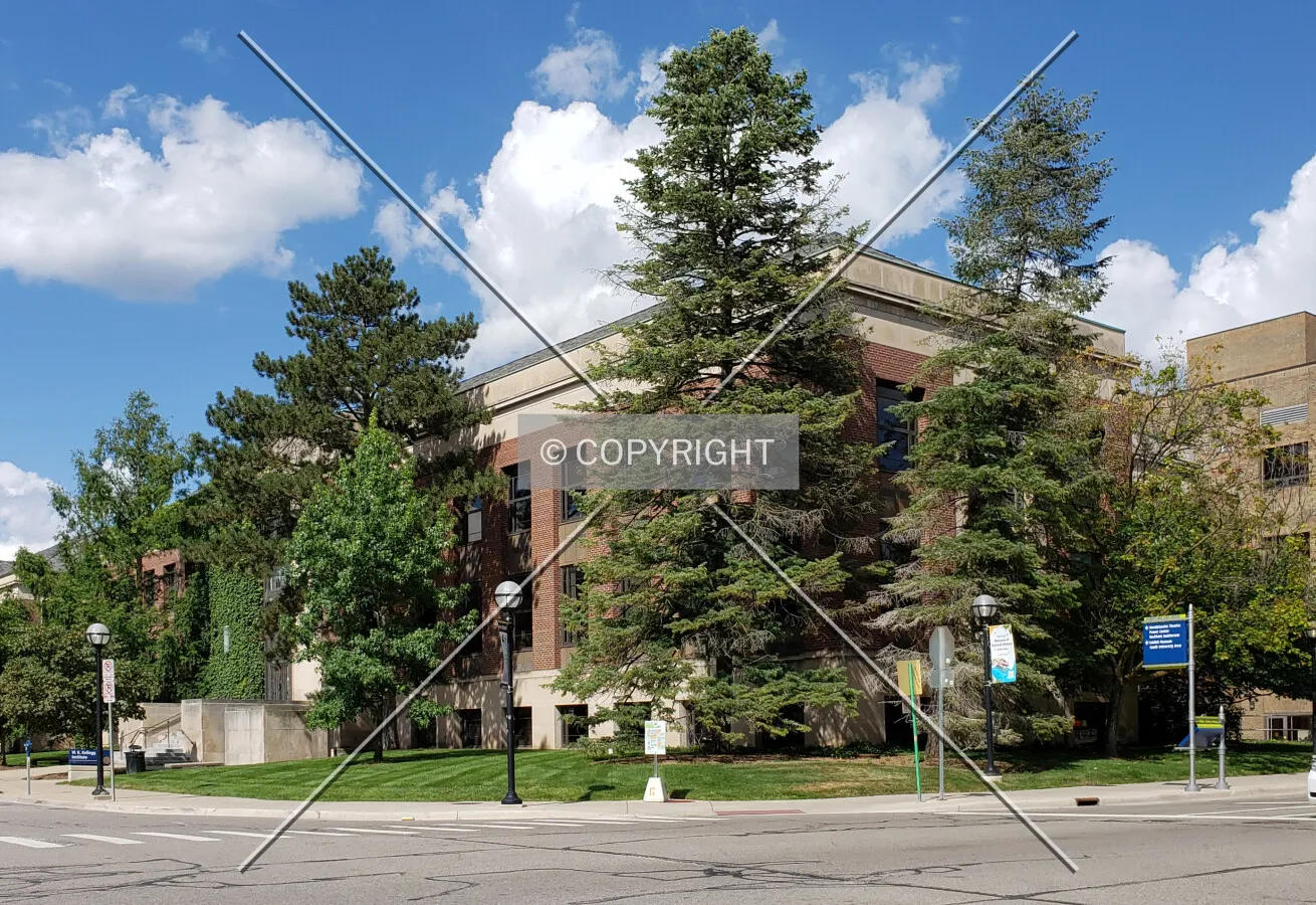 Southwest view; August 10, 2019