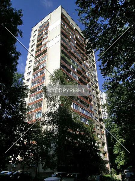 Photo 021-253-271