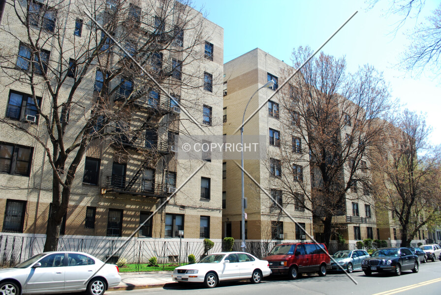 Photo 021-260-488