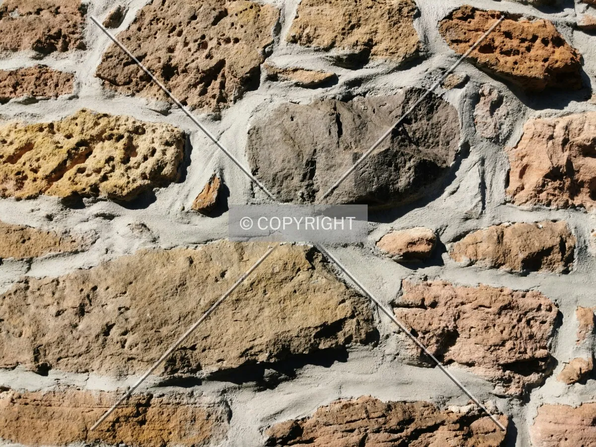 Photo 021-268-637