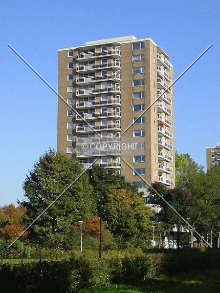 Photo 213-410-299