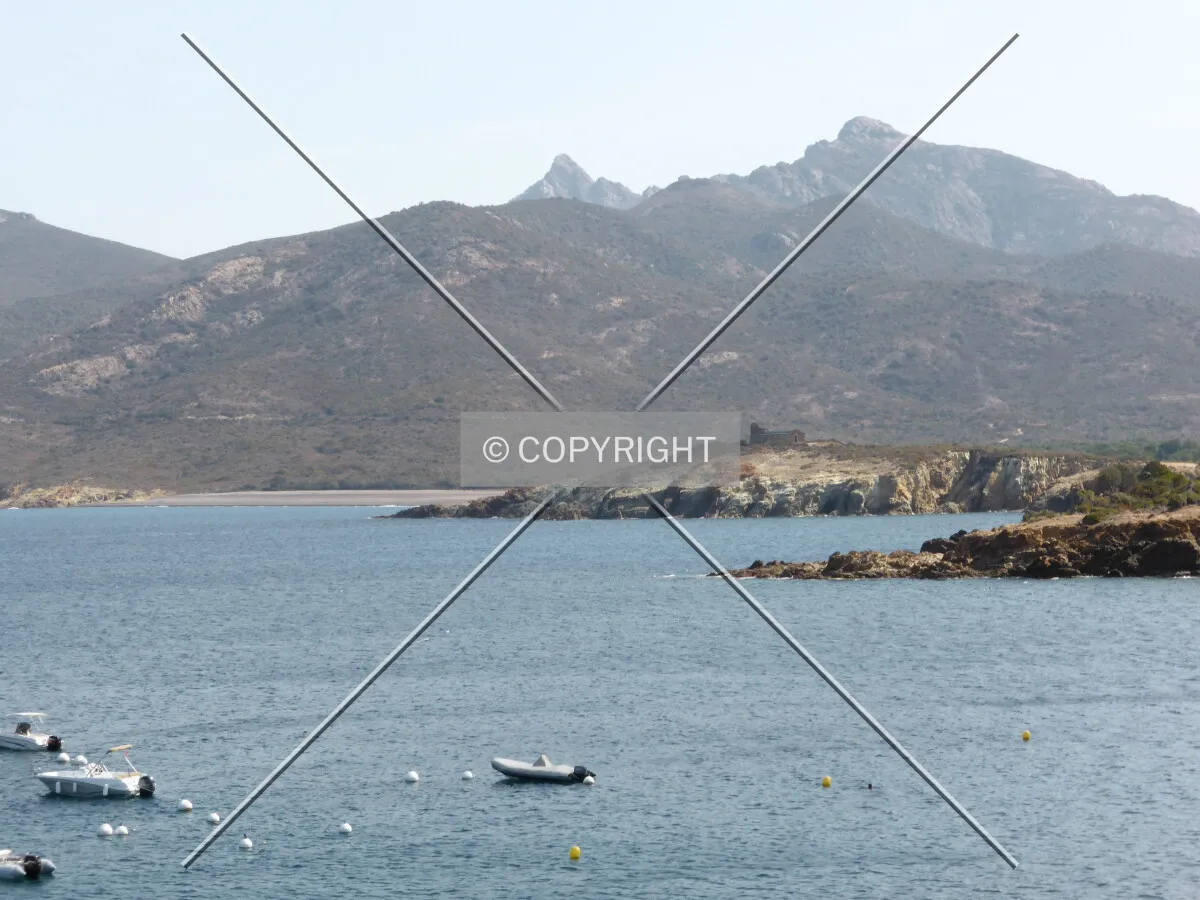 Photo 213-440-717