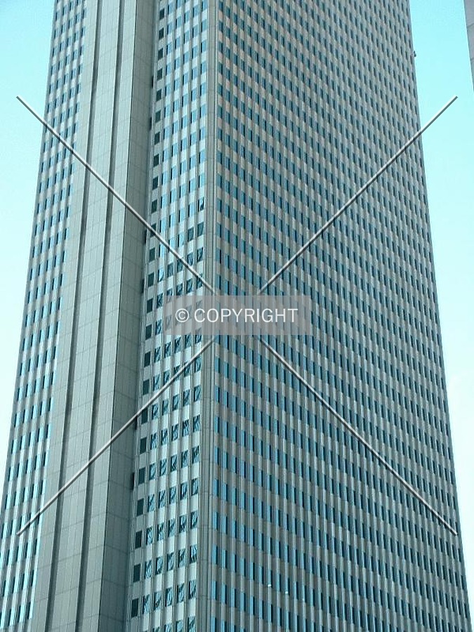 Trunk of main tower