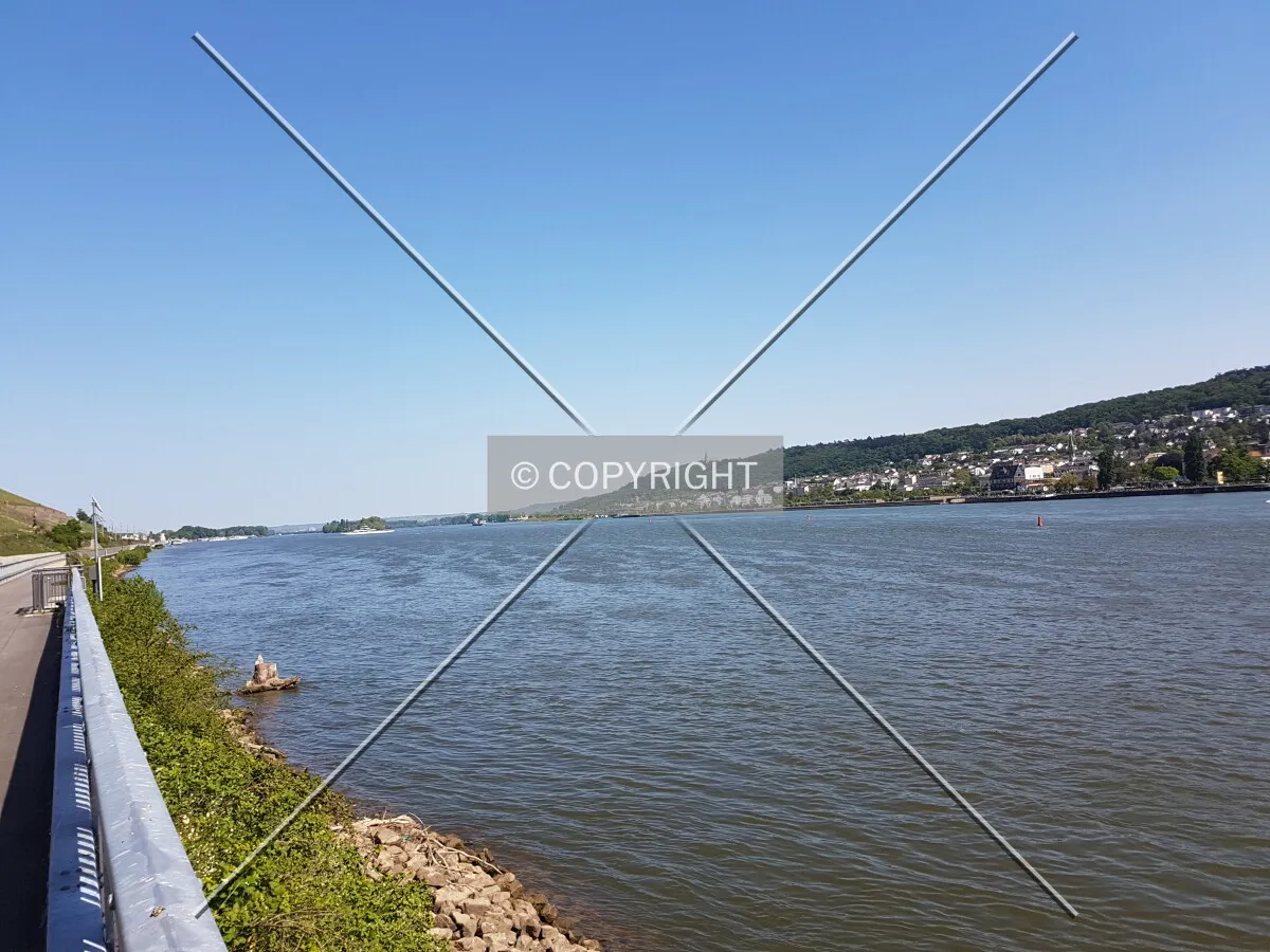 Photo 021-355-864