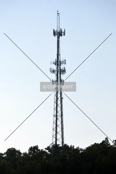Photo 213-738-217