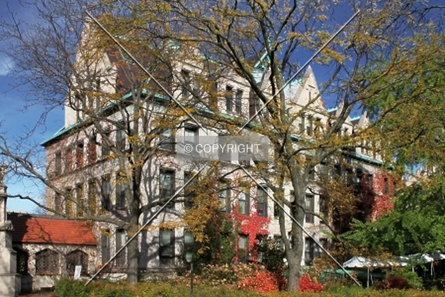 Photo 213-834-670