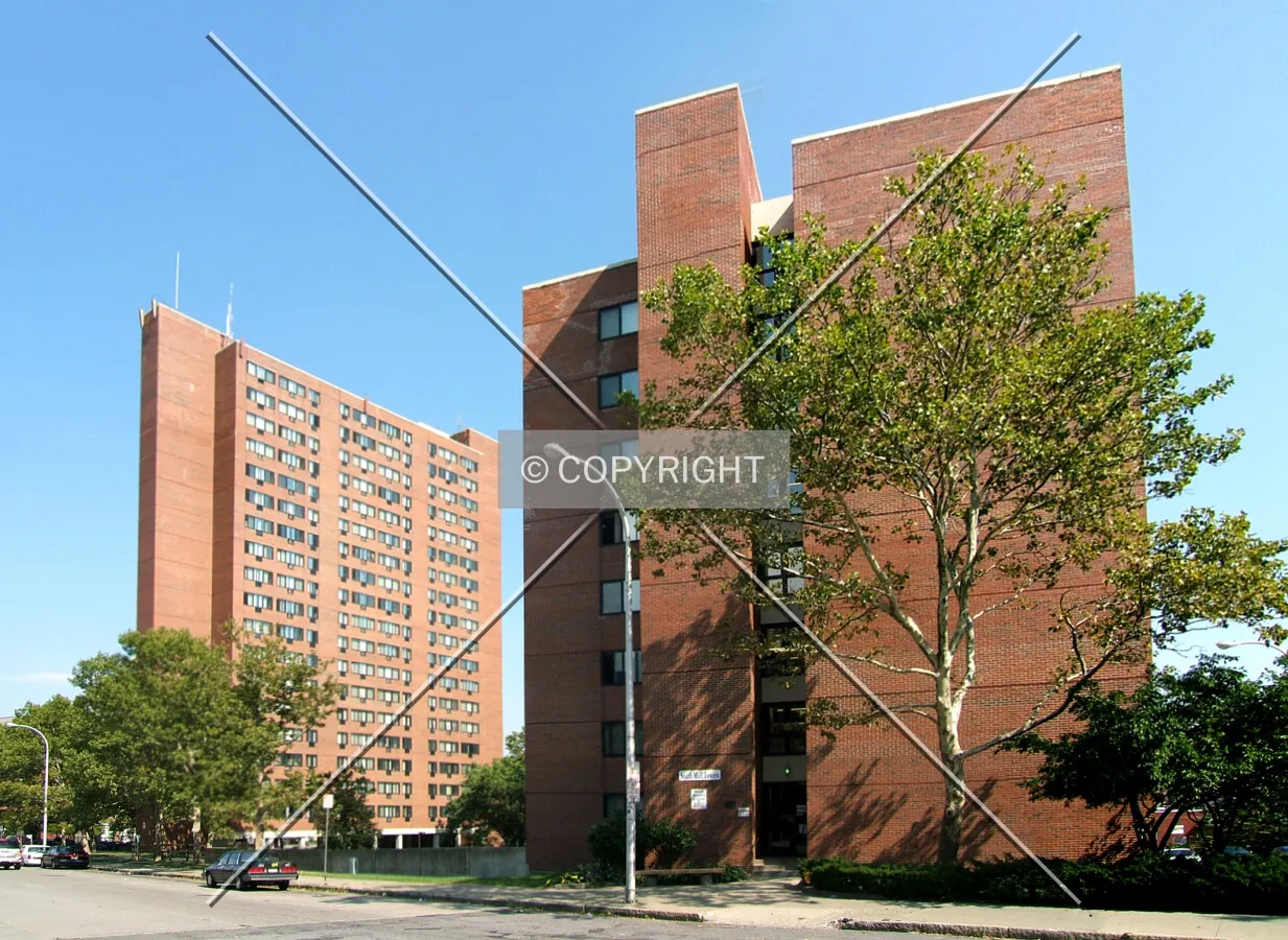View from the southwest