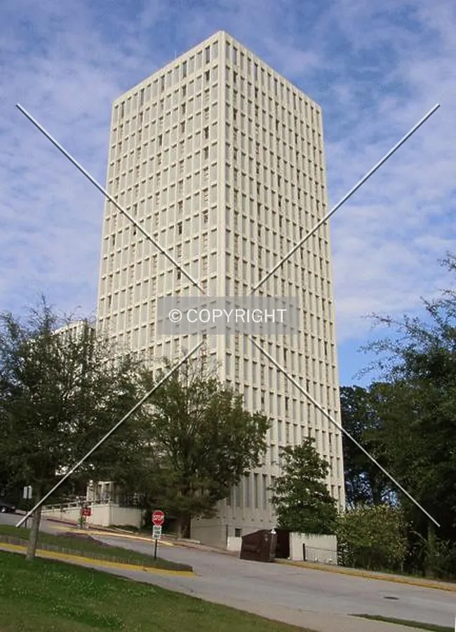 Looking northeast from Bull Street