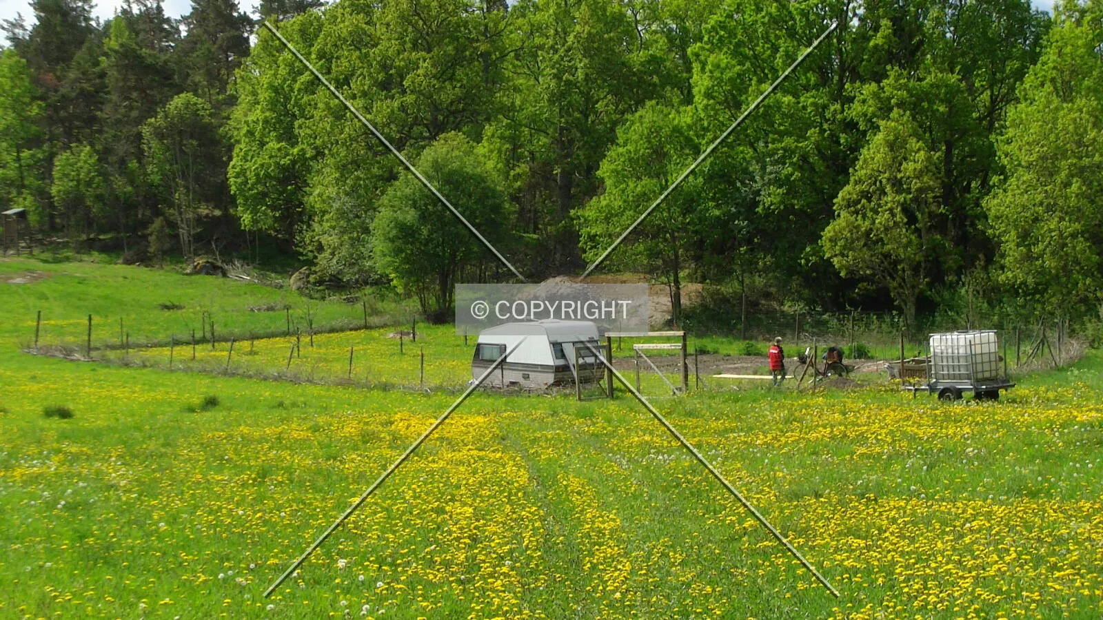 A garden in the nature