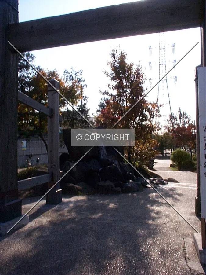 Photo 214-814-239