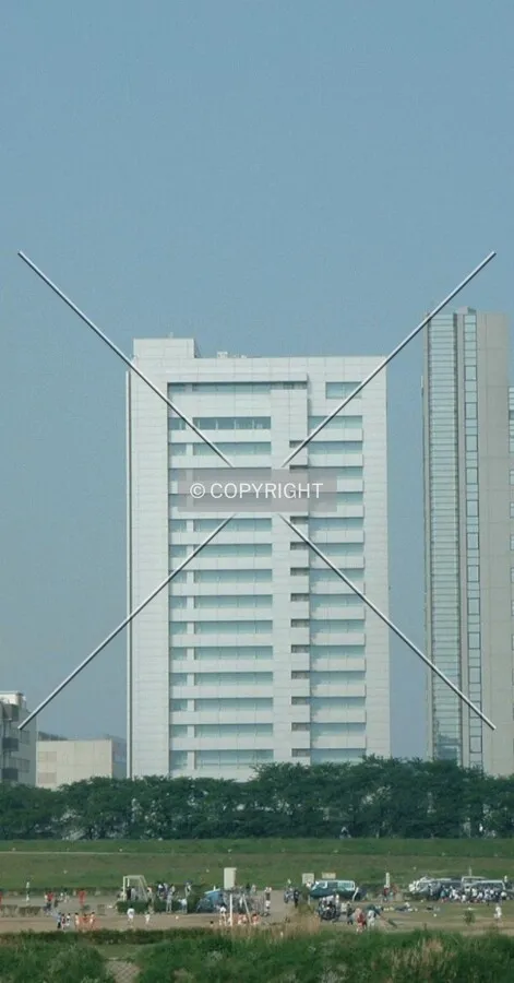 From across the Tamagawa River